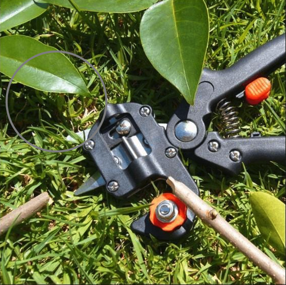 Garden Scissors Grafting Tool Kit Fruit Tree Pruning Shears Bonsai Pruner - Smart Living Box